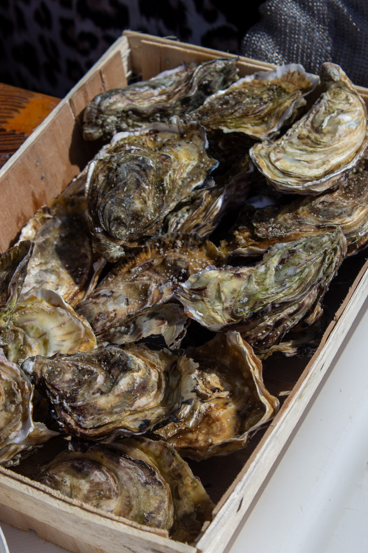 Kist met verse oesters klaar voor het feest