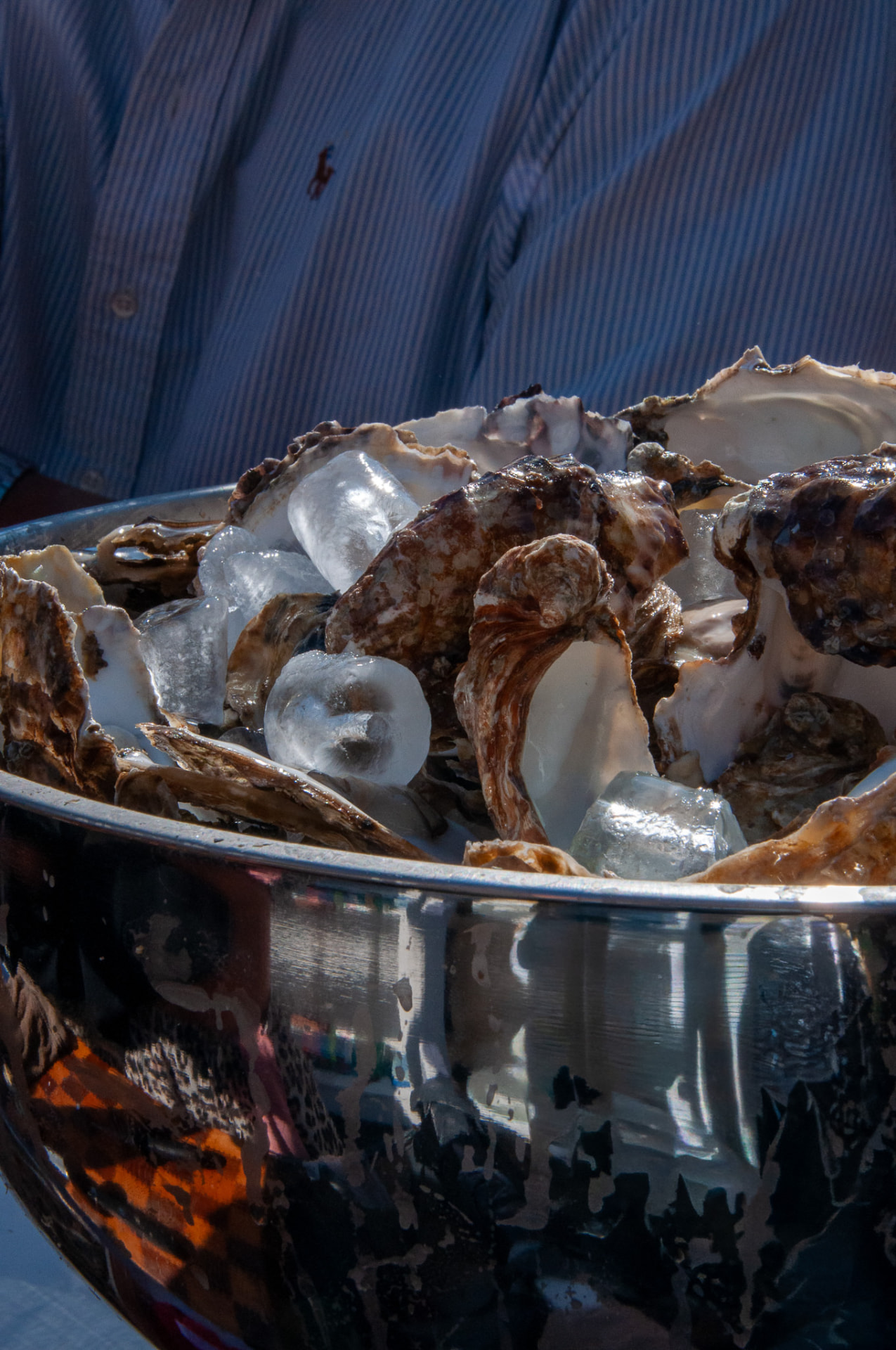 Schaal met geopende oesters op een event