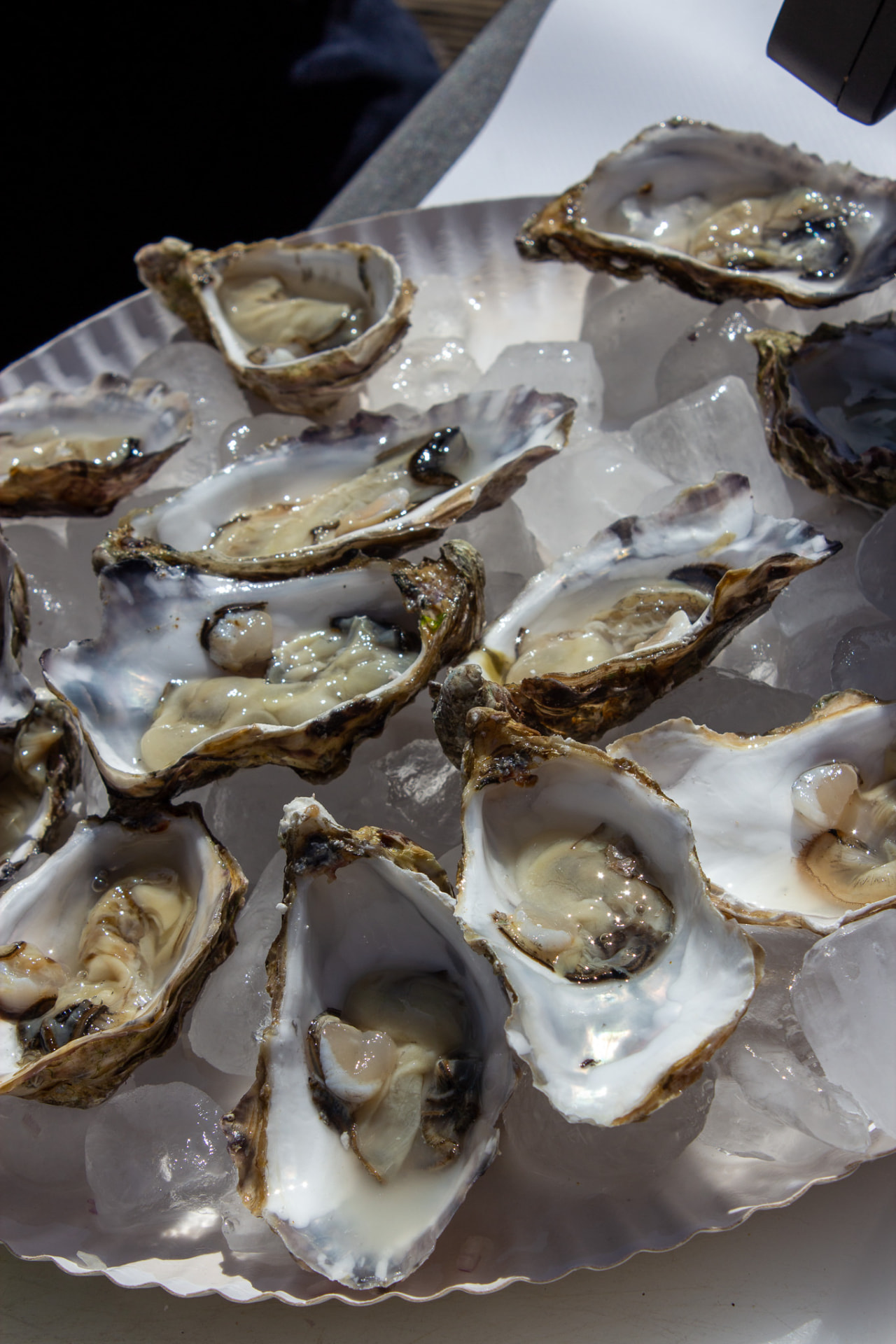 Groot plateau met verschillende verse oesters op ijs