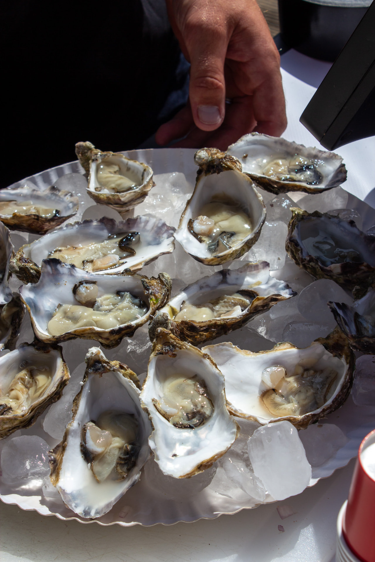 Hand met verse oester op ijs